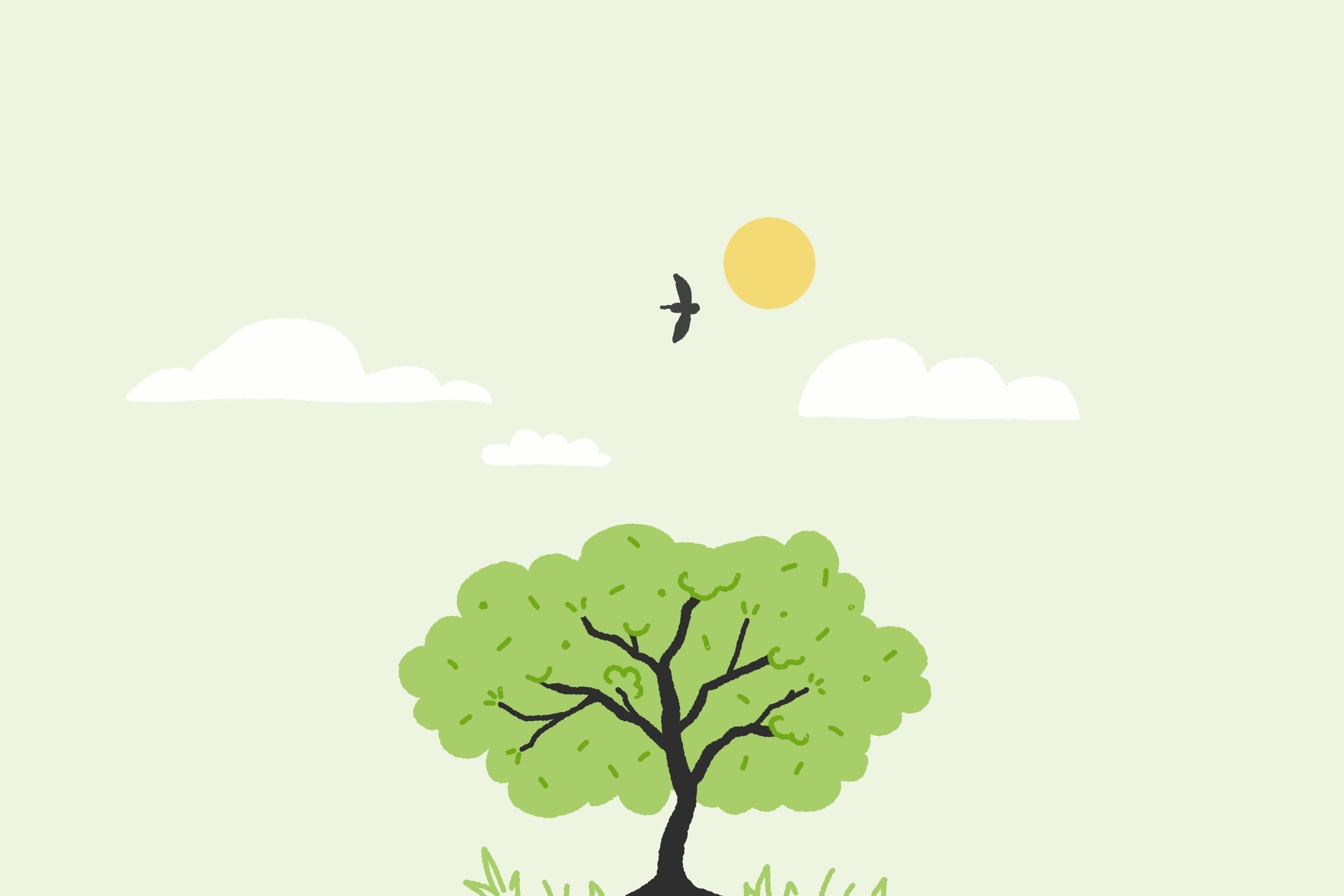 What Is Your Biological Age?